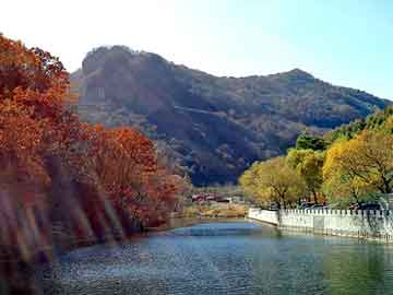 新澳天天开奖资料大全旅游团，沙果树苗